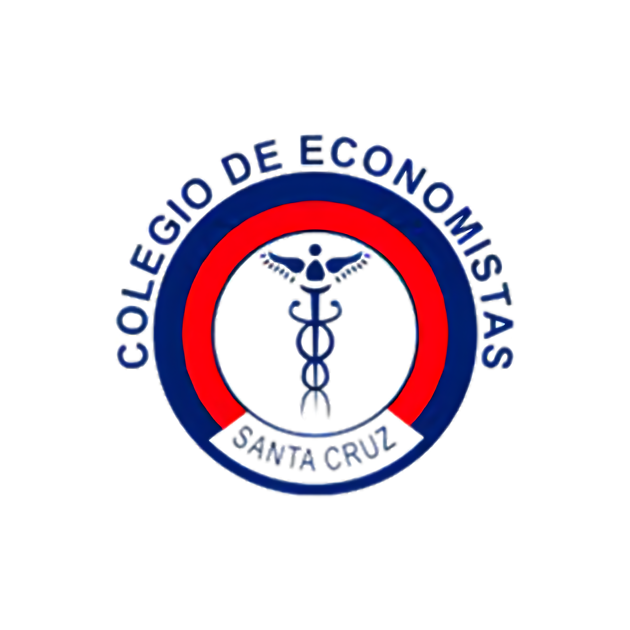 Colegio de Economistas de Santa Cruz
